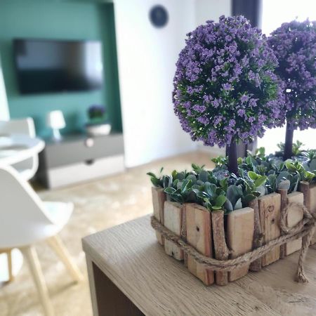 Apartament Karpaty Krynica-Zdrój Exterior foto