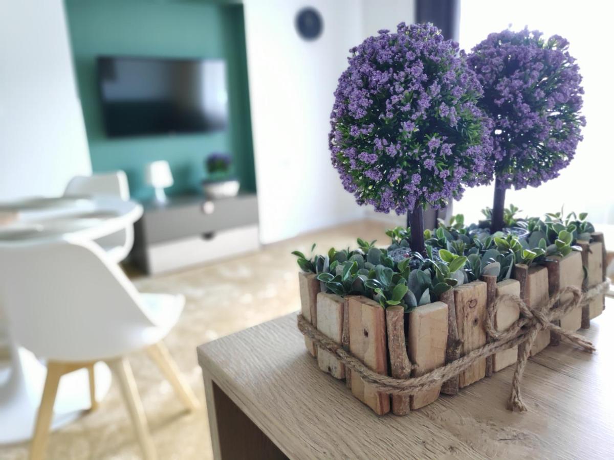 Apartament Karpaty Krynica-Zdrój Exterior foto